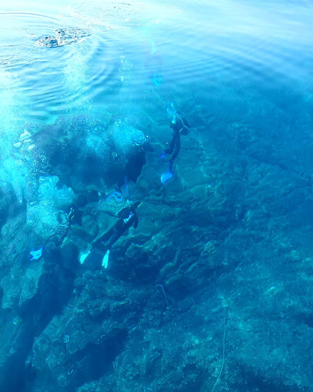 Corso Open Water Diver (livello 1+) — photo 3