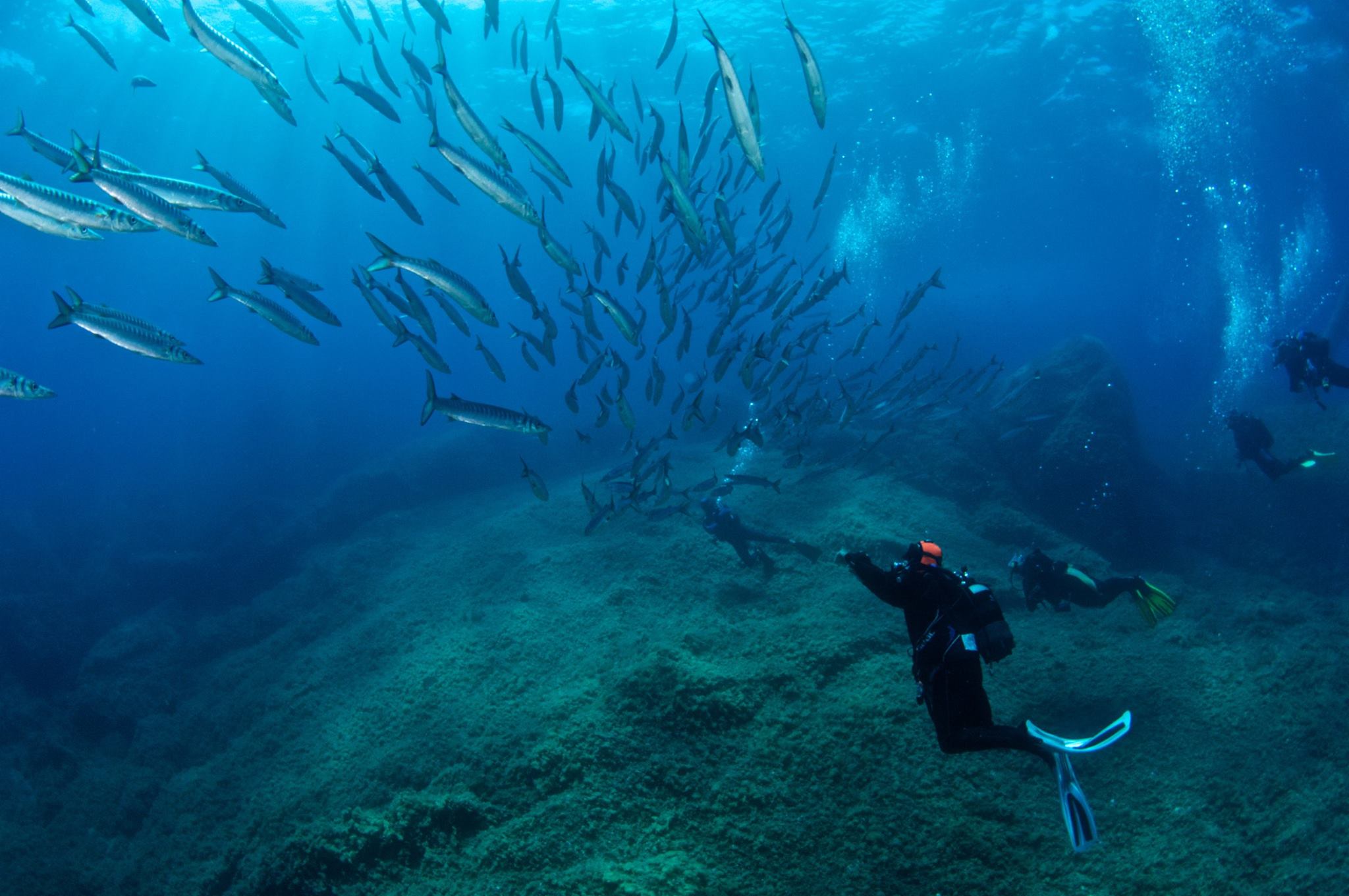 Corso Open Water Diver (livello 1+) — photo 2