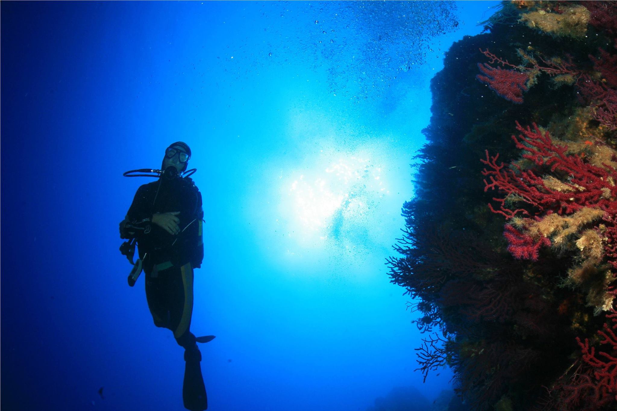 Advanced Open Water Diver Course (level 2) β photo 2