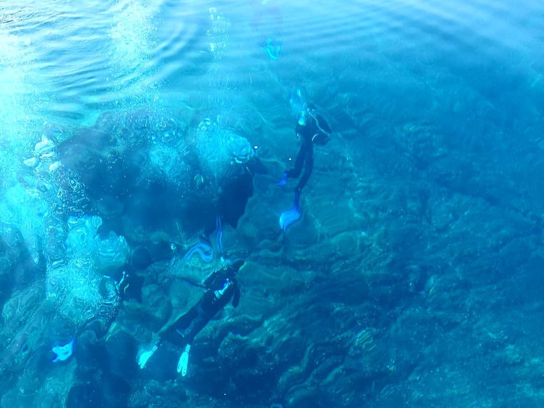 Immersioni sub guidate nell’Arcipelago della Maddalena — photo 3