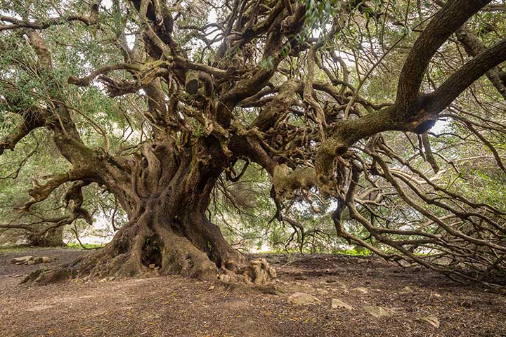 Tour tra le sponde del lago – Natura e panorami in Gallura — photo 4