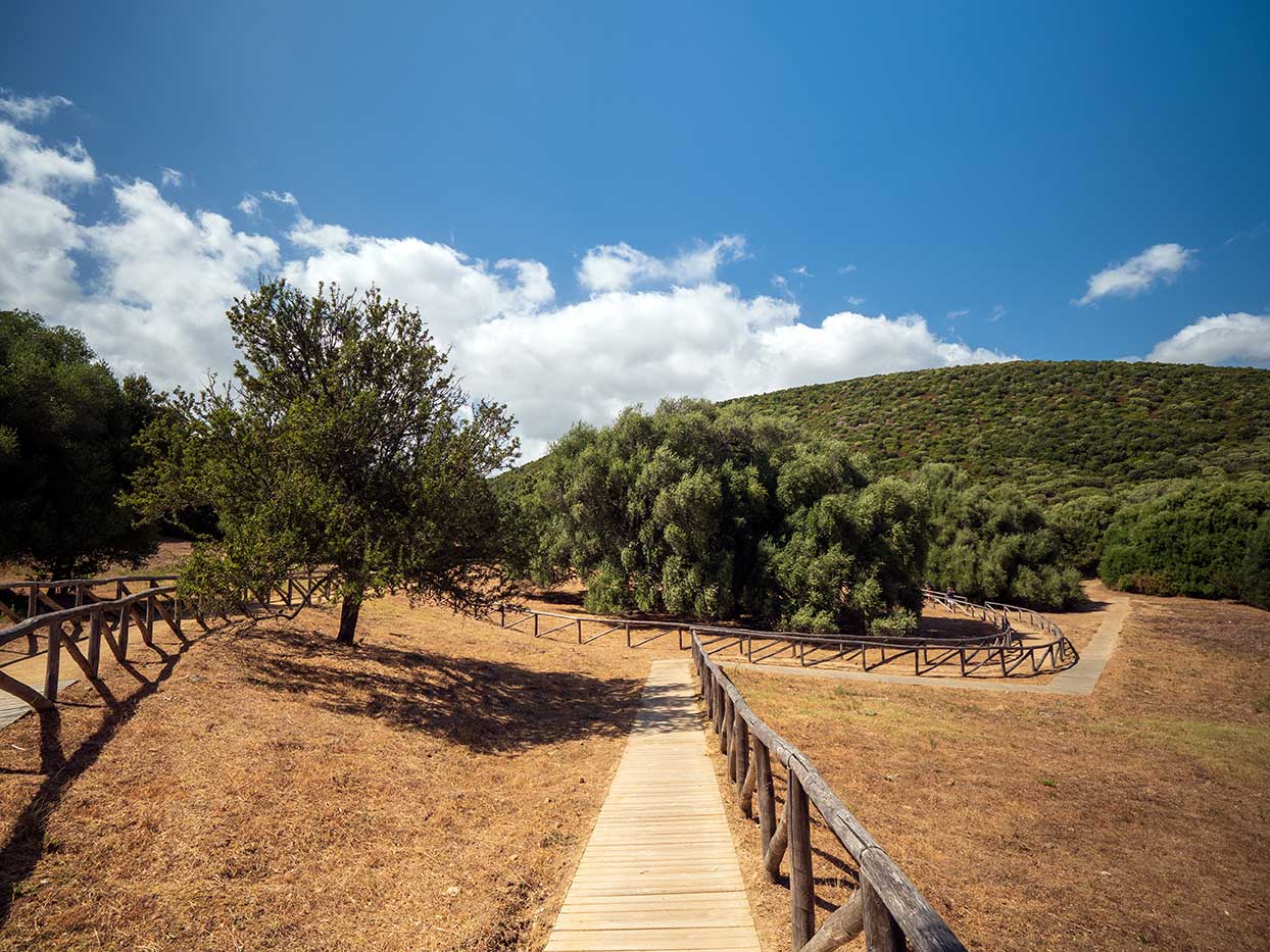 Tour tra le sponde del lago – Natura e panorami in Gallura — photo 3