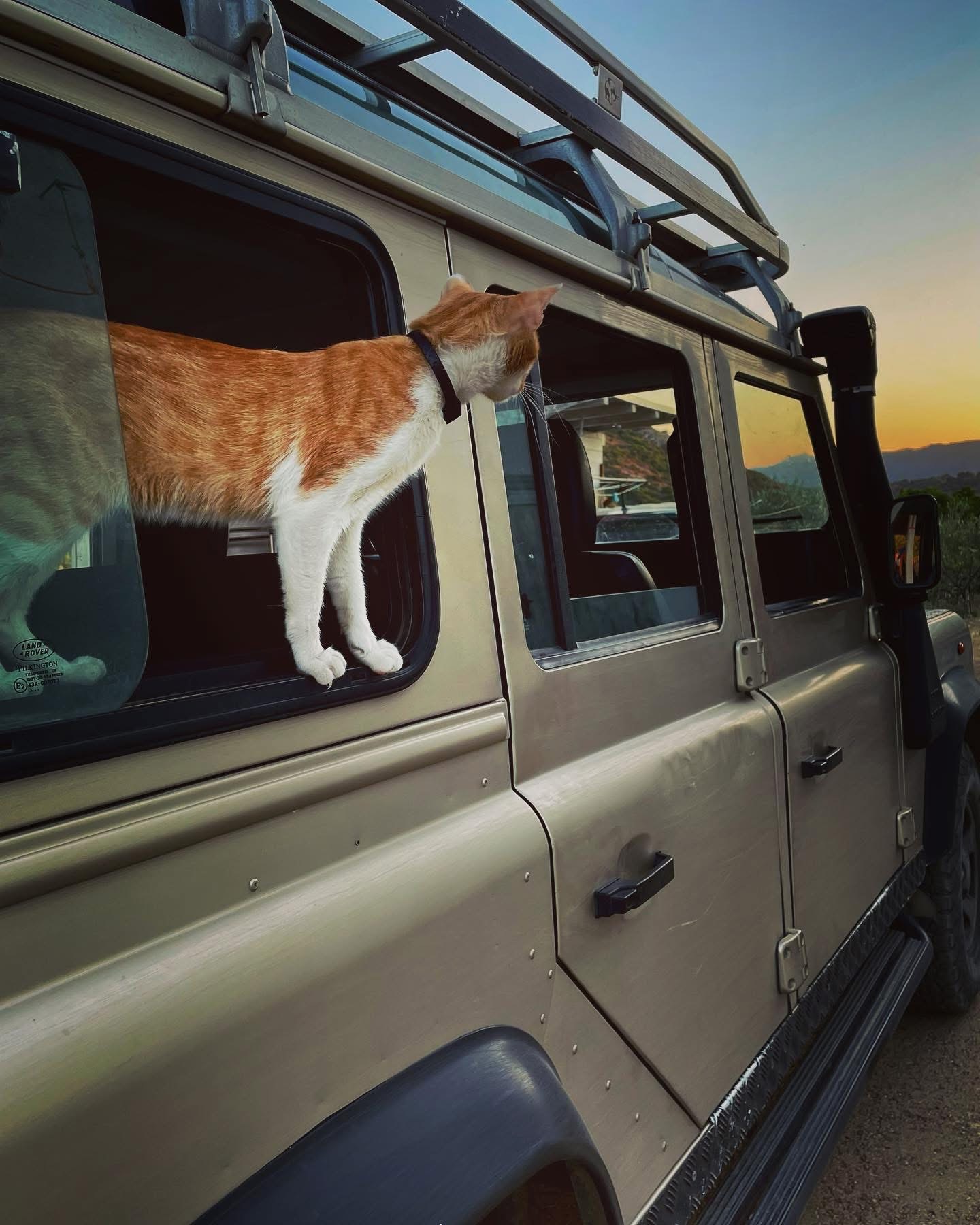 Da San Teodoro: Tour Fuoristrada 4x4 Monte Nieddu — photo 2