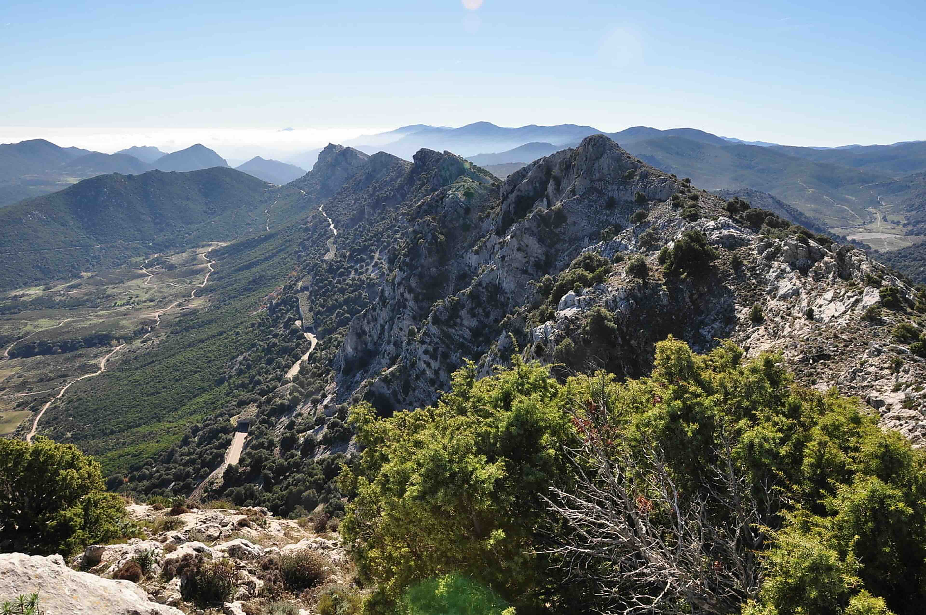 Da San Teodoro: Canyoning Codula Orbisi a Urzulei – Avventura nel Supramonte — photo 1