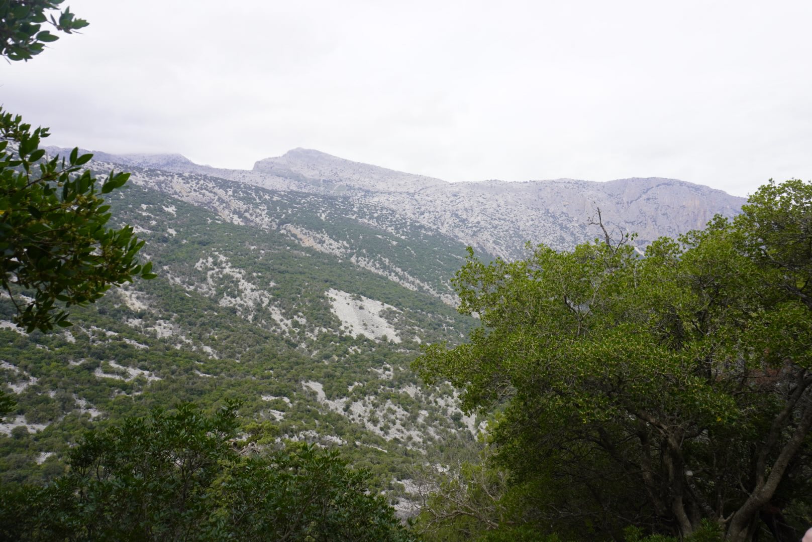 From Dorgali: Tiscali Nuragic Village Trekking – Supramonte Archaeological Hike — photo 2