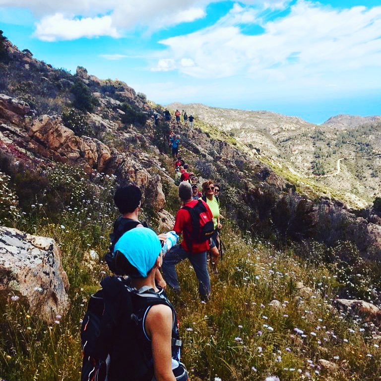 Da San Teodoro: Trekking a Lu Castedducciu sul Monte Nieddu – Escursione nella natura di Padru — photo 2