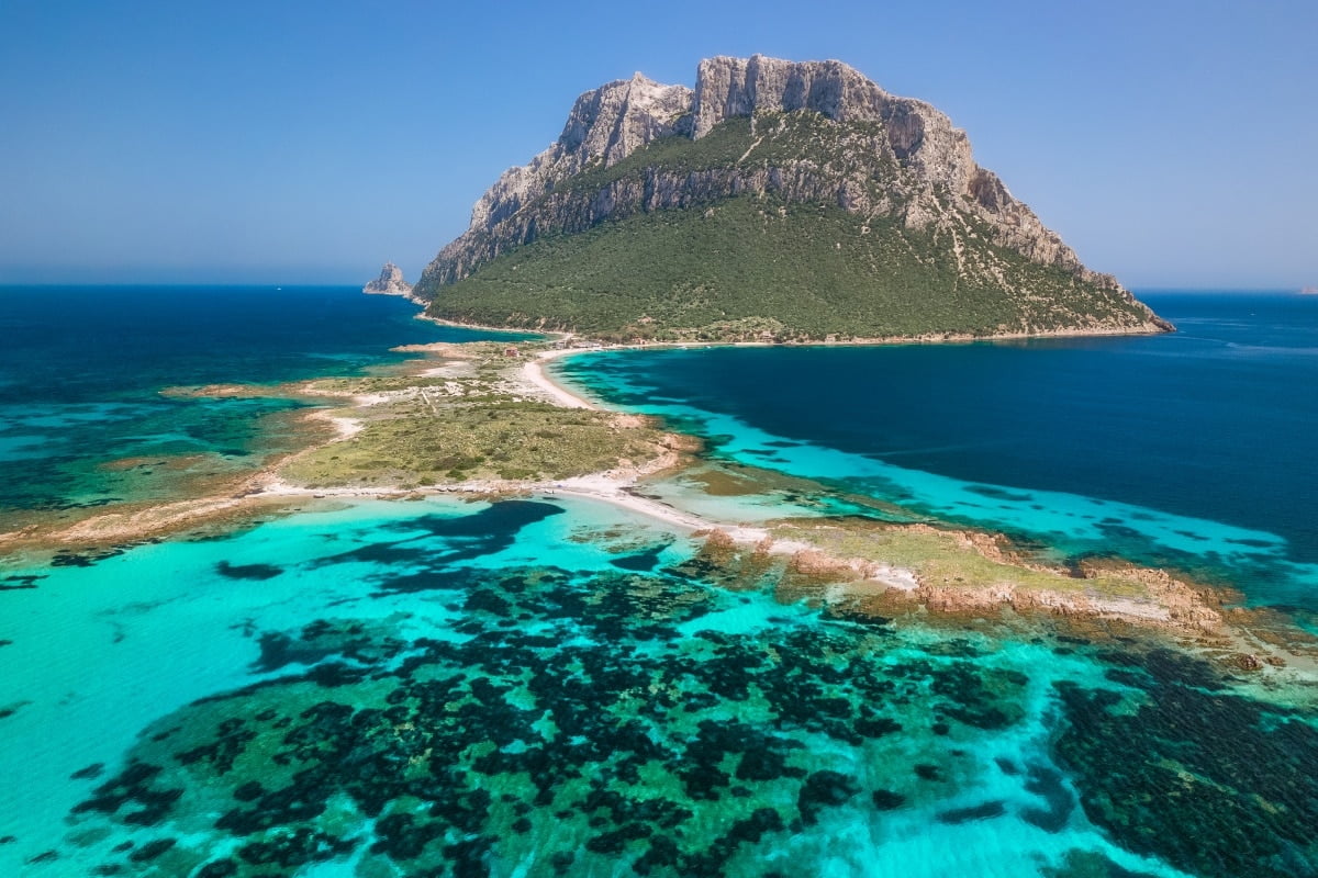 Da Olbia: Immersioni nell’Area Marina Protetta – Secche, pareti e relitti — photo 1