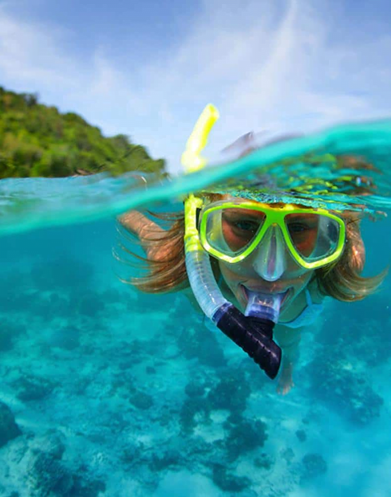 Da Olbia: Avvistamento Delfini e Snorkeling a Figarolo — photo 3