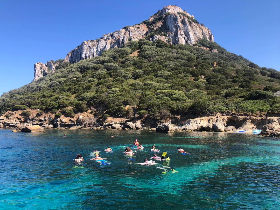 Da Olbia: Avvistamento Delfini e Snorkeling a Figarolo — photo 2