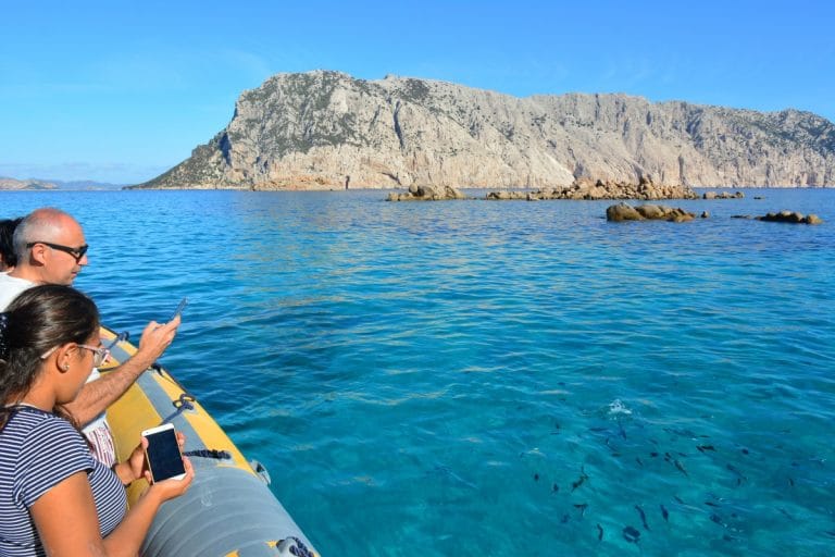 Da Olbia: Snorkeling Tour a Tavolara e Molara – Piscine Naturali e Visita al Relitto — photo 3