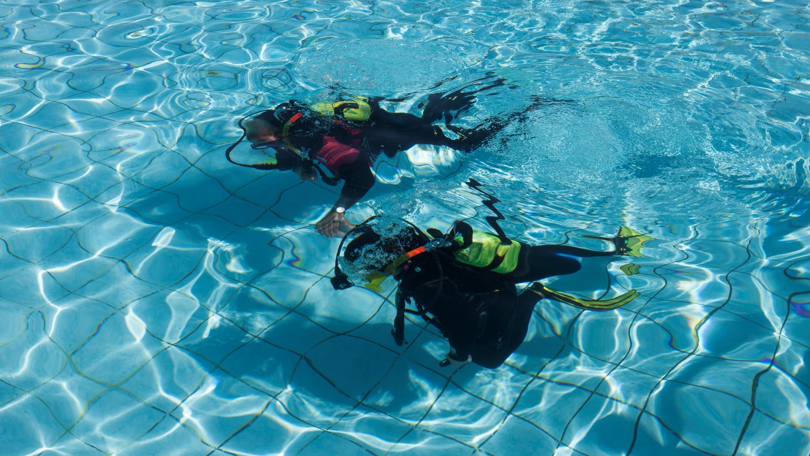 Da Olbia: Corso Sub PADI a Tavolara – Esperienza per Principianti — photo 3
