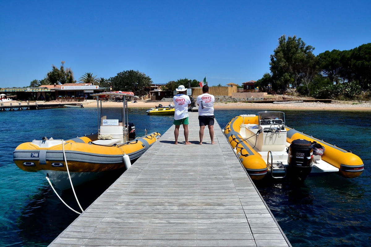 Da Olbia: Corsi Sub Avanzati PADI a Tavolara – Migliora le tue immersioni — photo 1