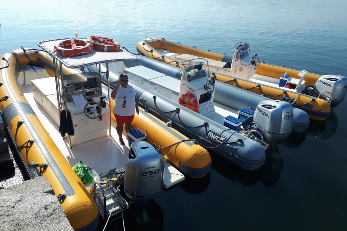 From Olbia: PADI Specialty Diving Courses in Tavolara – Advanced Skills and Techniques — photo 2