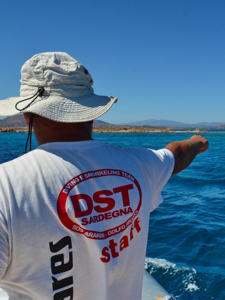 From Olbia: PADI Specialty Diving Courses in Tavolara – Advanced Skills and Techniques — photo 3