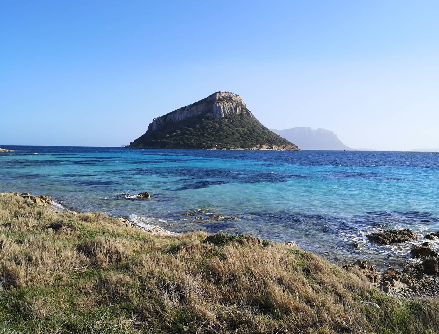 Da Porto Rotondo: Gita In Barca Alla Ricerca Dei Delfini — photo 3