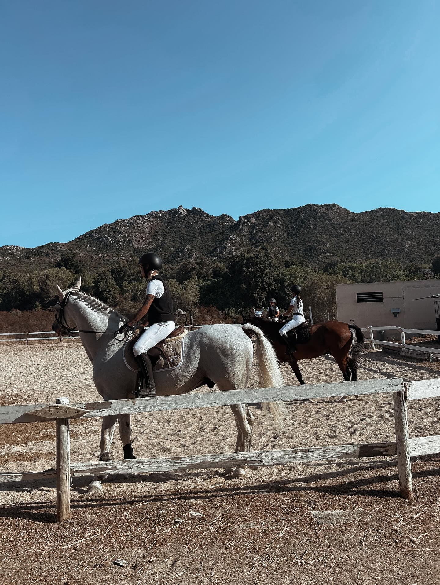 Lezione Privata di Equitazione a Olbia: Allenamento Personalizzato al Centro Era Sarda — photo 1