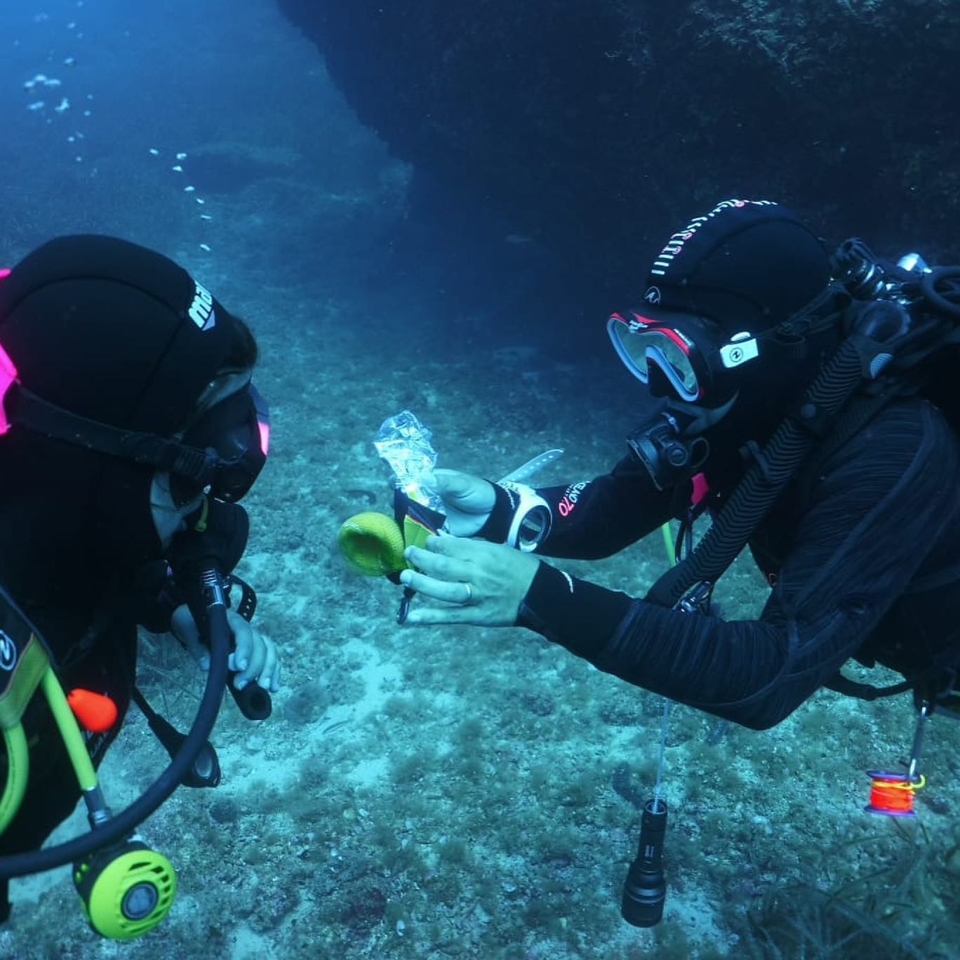 Immersione Guidata a Capo Figari – Grotte e Vita del Mediterraneo — photo 3