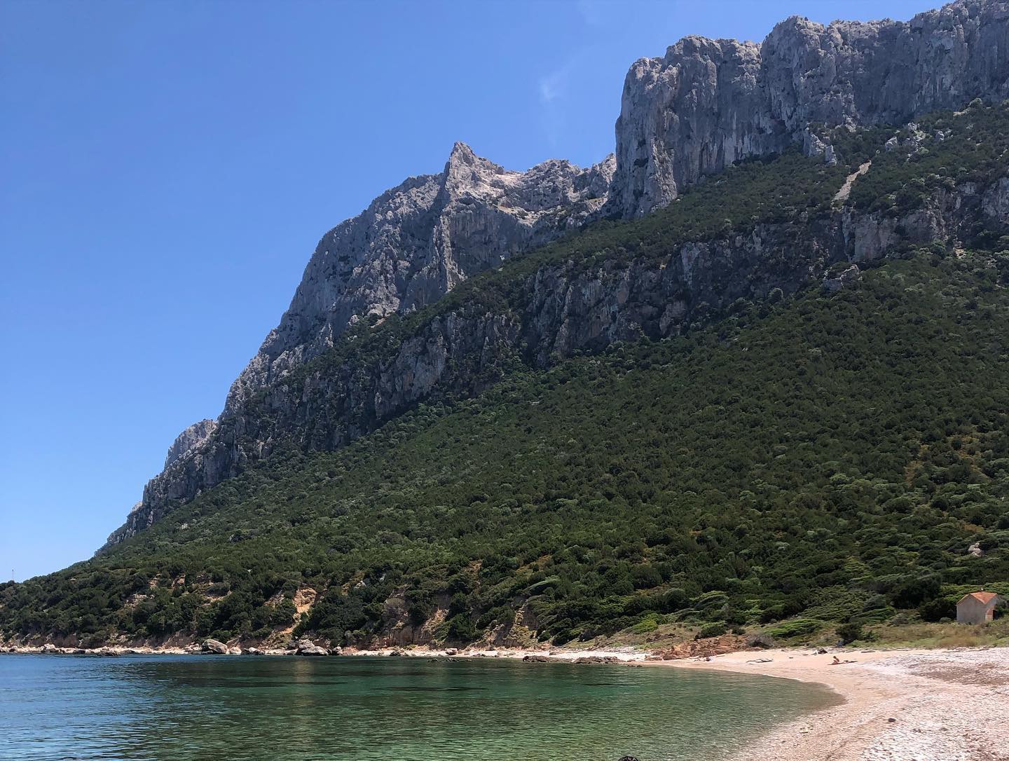 Snorkeling alle Isole di Tavolara e Molara – Tour Guidato in Barca — photo 2