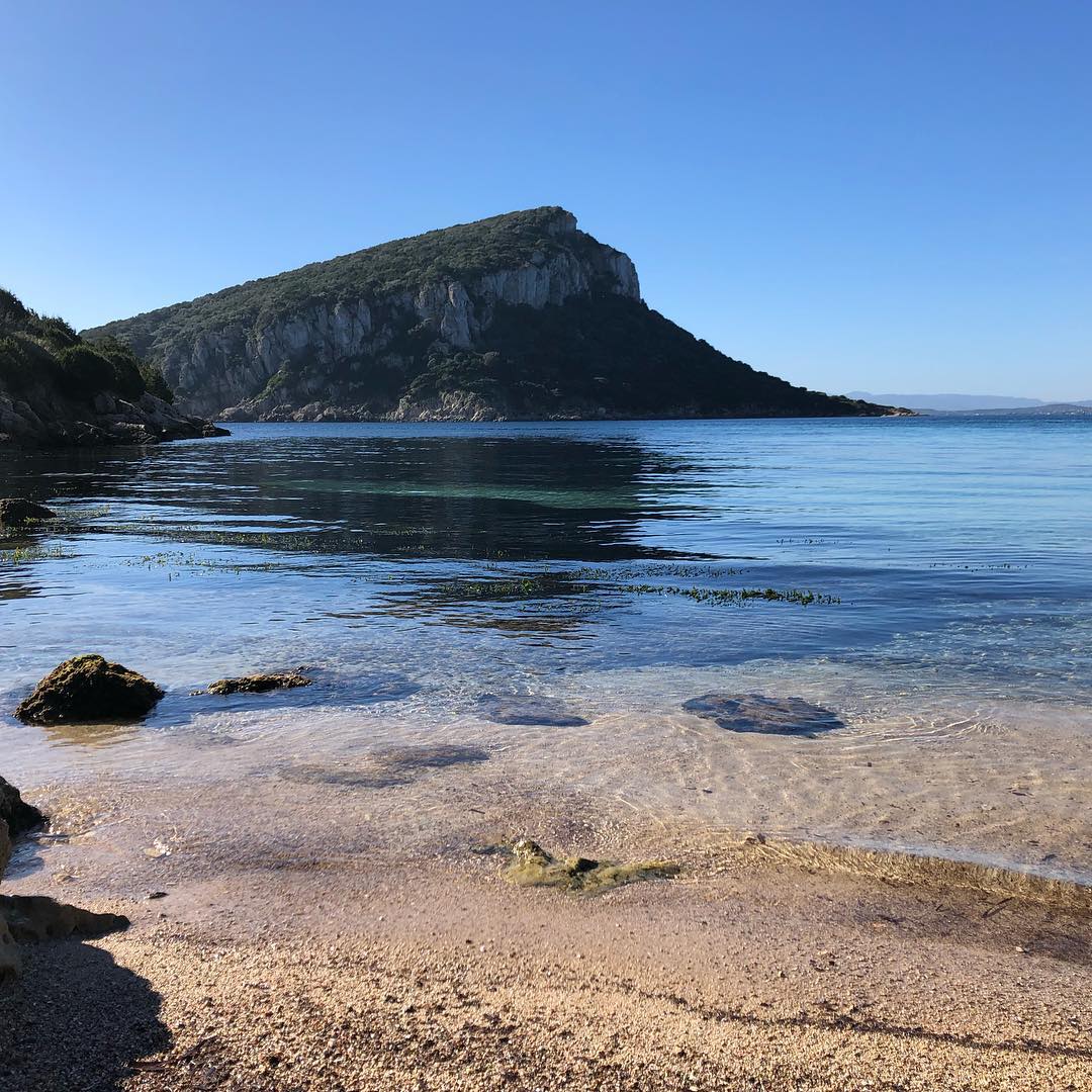 Dolphin Watching at Capo Figari – Wildlife Boat Tour from Golfo Aranci — photo 3