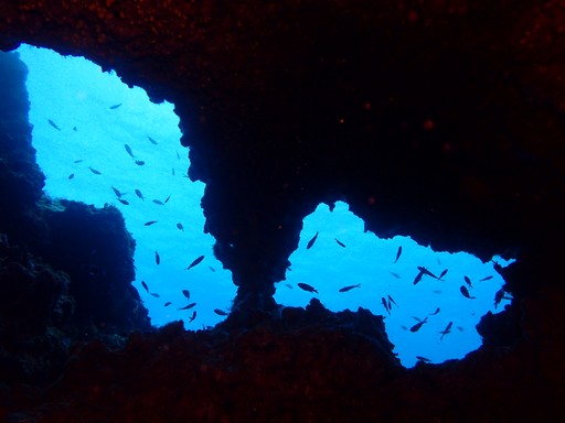 PADI Advanced Open Water Diver Course – Dive Deeper and Explore Further — photo 4