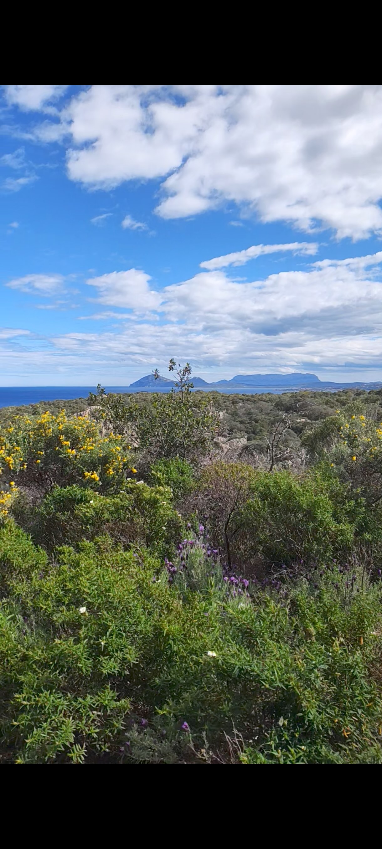 Sunset E-Bike Experience at Monte Moro — photo 4