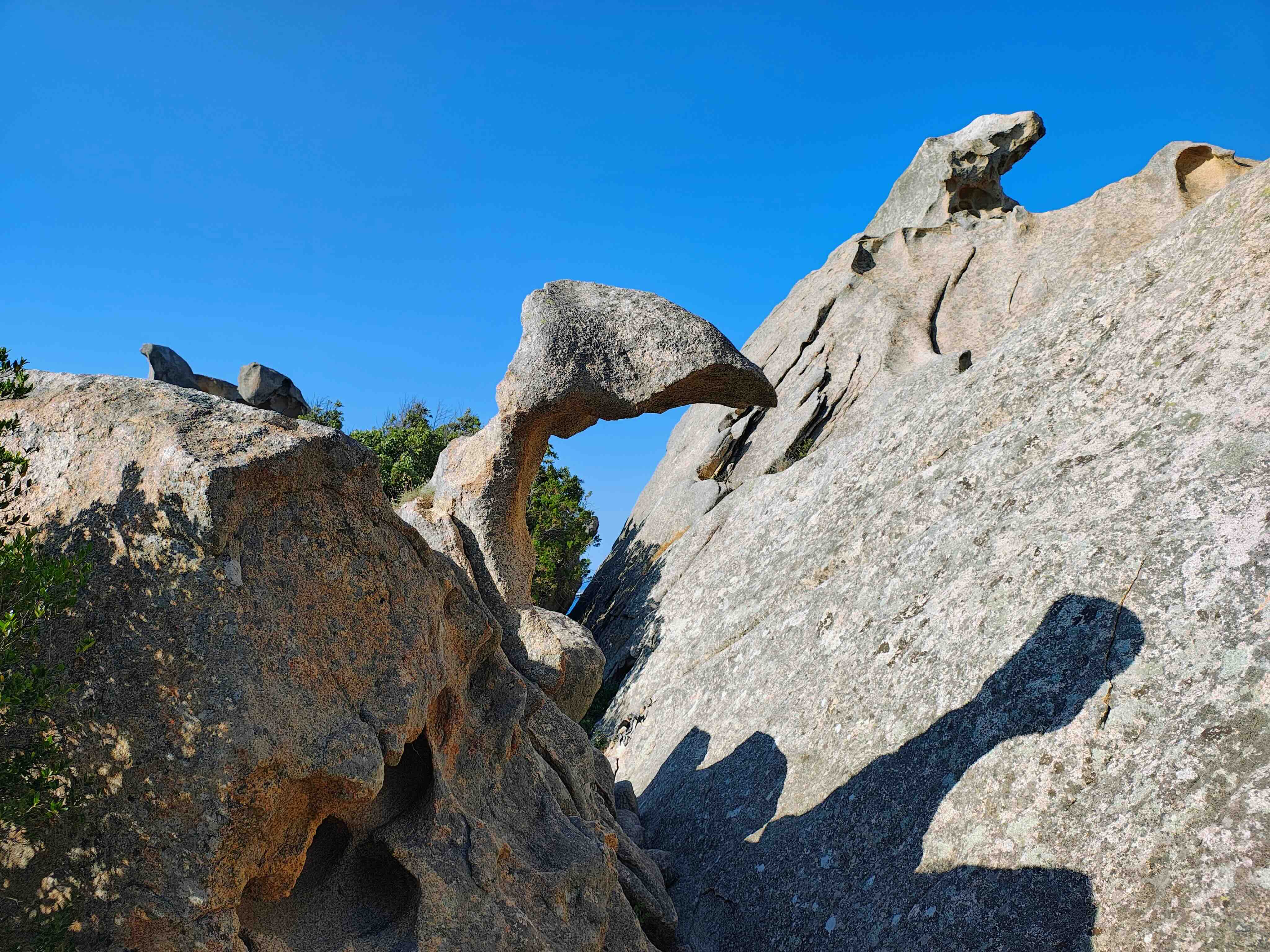 Escursione in E-Bike alla Roccia dell’Orso — photo 2