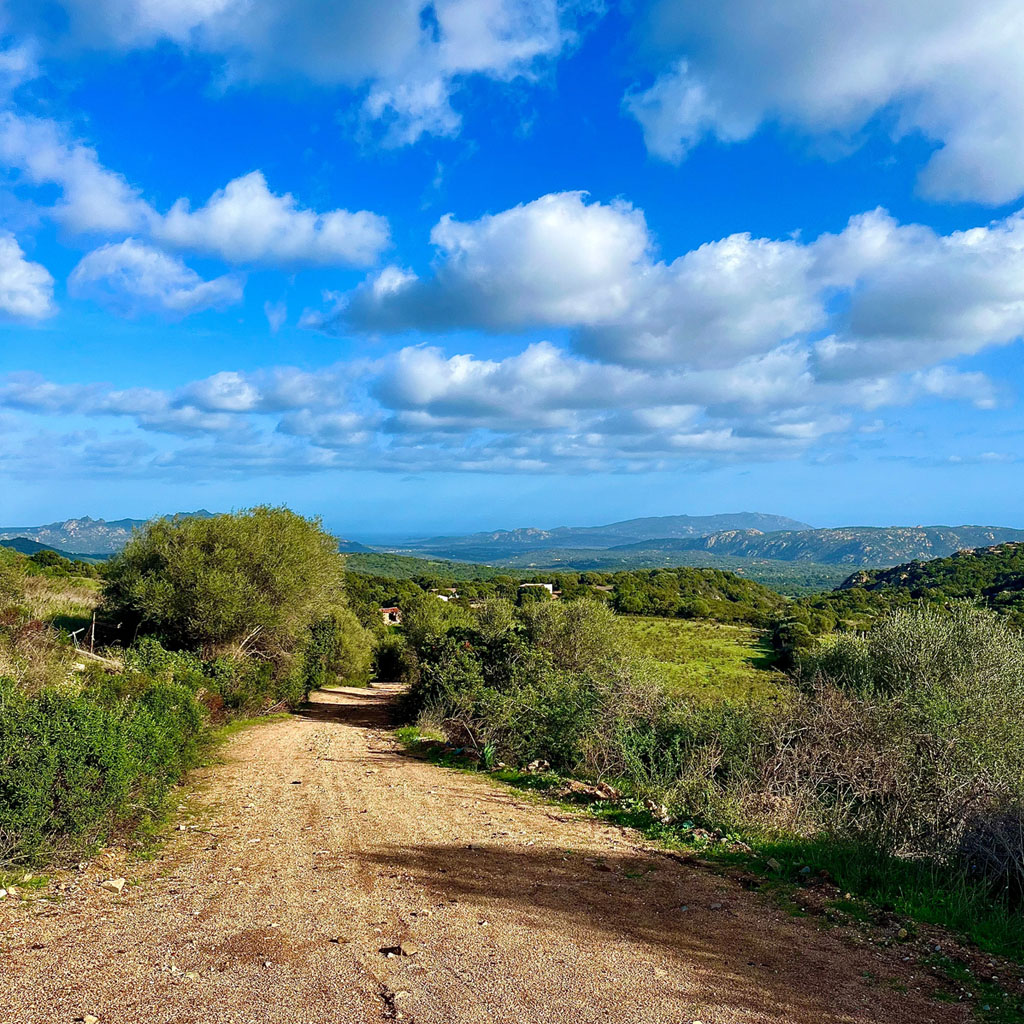 San Pantaleo: Noleggio Bici Trek con GPS – Esplora la Costa Smeralda a modo tuo — photo 3